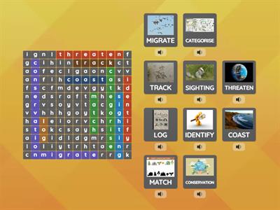 ESOL E2 nature lovers wordsearch