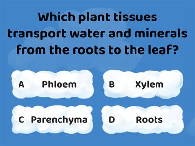 QUIZ 10TH (LIFE PROCESSES)