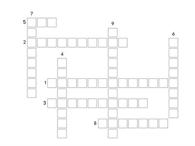 International Business and Functional Areas