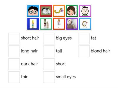 Fat, thin, short, tall, big/small, hair