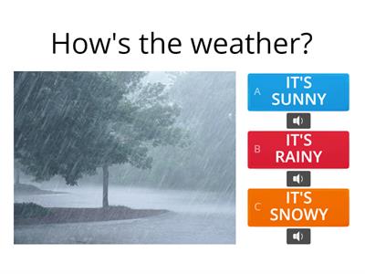 What is the weather like ? How is the weather ?
