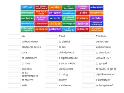 Introduction: la cyber société (2)