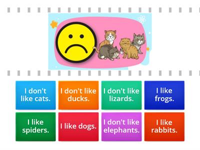 Y1 UNIT 3 : PET SHOW - I like/I don't like