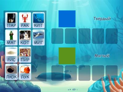 Твёрдый мягкий согласный