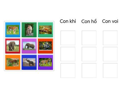 động vật trong rừng