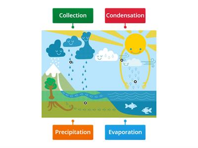 The Water Cycle