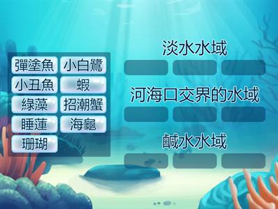 水生動植物(按組排序)