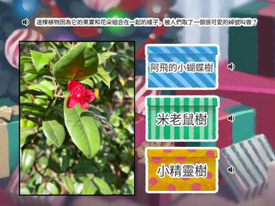 樹葉精靈_國小丁