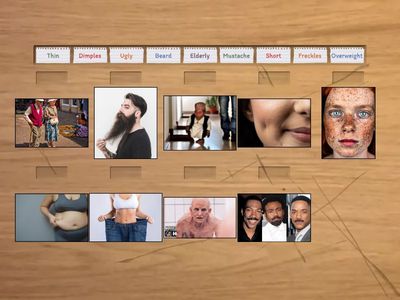 Physical Characteristics