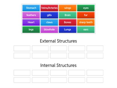 Internal vs. External Structures