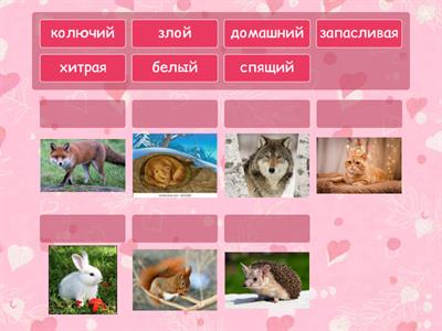 Прилагательные 