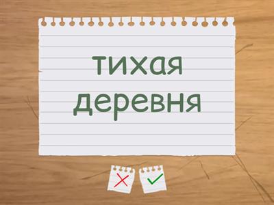 Прилагательные 5 класс