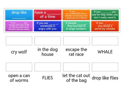 Teens E 4A Animal Idioms