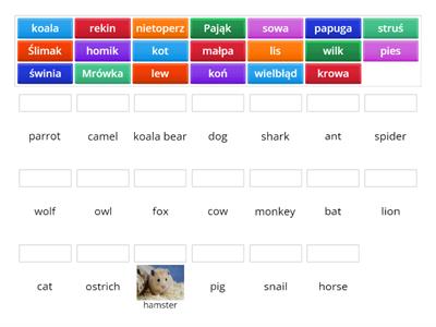 zwierzęta po angielsku  k1