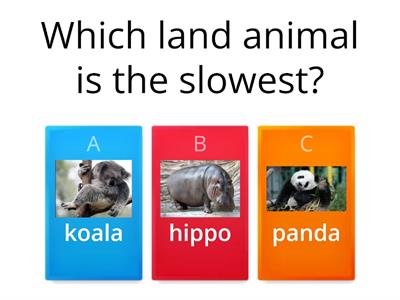 GW5_superlative_Sea_Which _ is the smallest?