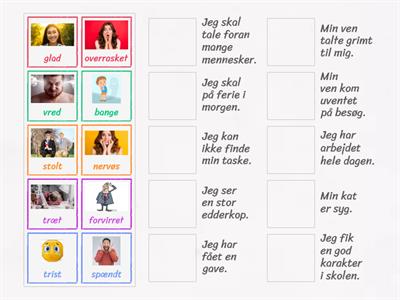 Følelser - Dansk på A2