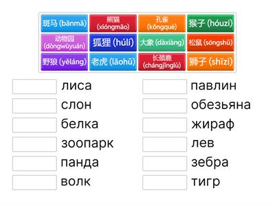 Тема 3 动物. Урок 5