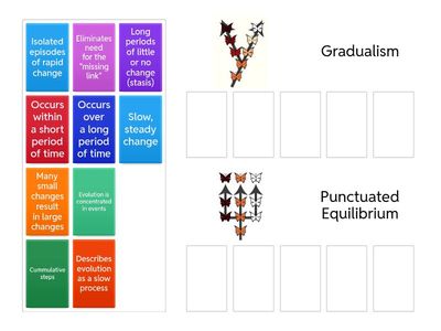 Bio 3 Gradualism vs Punctuated Equilibrium
