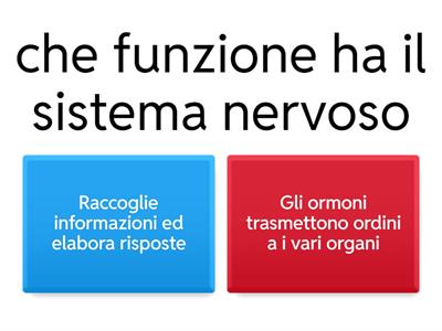 sistema nervoso quiz