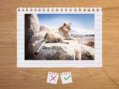 Outcomes Int U 11 L1