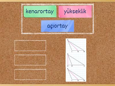 Üçgende Yükseklik, Kenarortay ve Açıortay