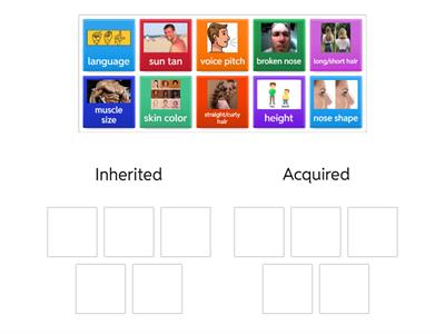 Inherited and Acquired Traits adapted