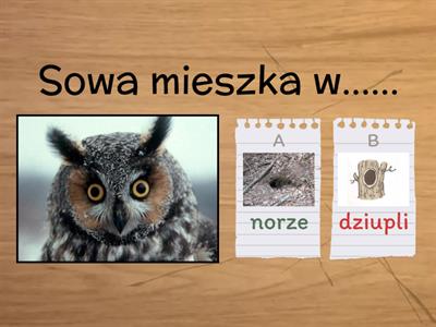  ZWIERZĘTA LEŚNE I ICH DOMY