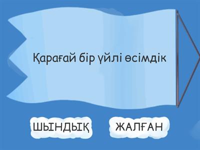 Ашықтұқымды және жабықтұқымды өсімдіктердің тіршілік циклі