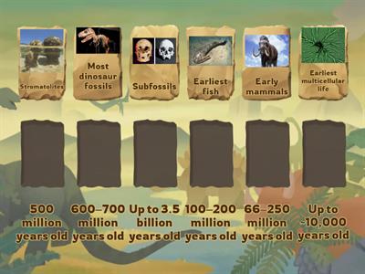 Fossil Types and Ages