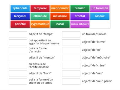 Français médical - Tête osseuse: vocabulaire