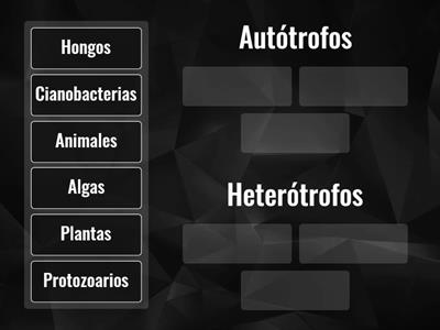 Clasificación de los seres Vivos