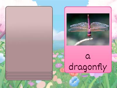 Insects for young learners. Vocabulary