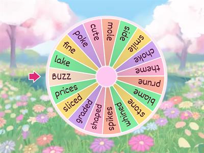 CVCe Words Buzz Game