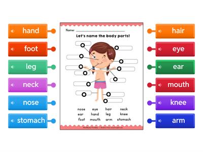 лапицкая 5 класс body parts