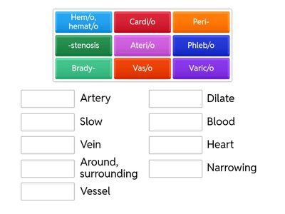 Cardiovascular System Medical Terminology
