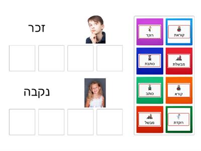 זכר נקבה