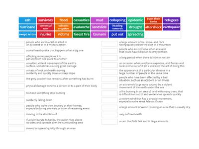 Gateway B2 Unit 8 Vocabulary Natural 