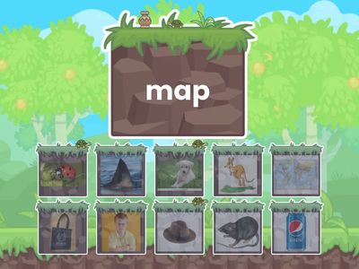 Blending CVC - Find the match