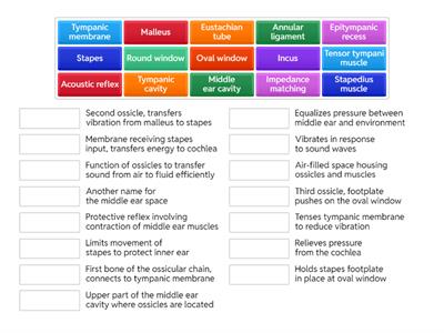 Middle Ear Matching Game