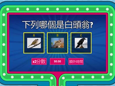 G4A09 阿白觀察記-閱讀理解