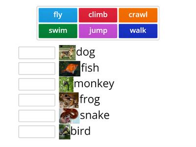 PE Match the animal's locomotor movement to its name.