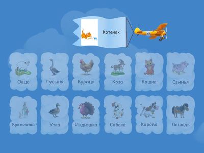  Домашние животные - мамы и детёныши.