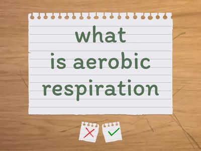 respiration recap 01