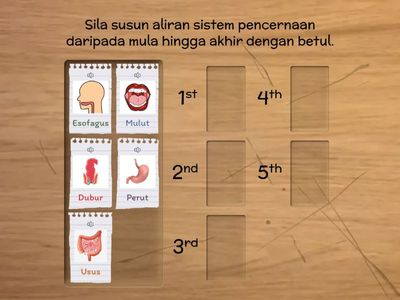 3.3 SISTEM PENCERNAAN SAINS TAHUN 3