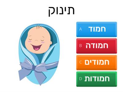 שם תואר לשם עצם