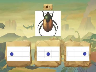 Звук Ж. Где  звучит?