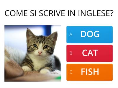 Gli animali in inglese