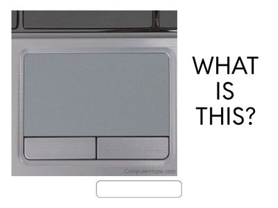 REVISION FOR THE TEST