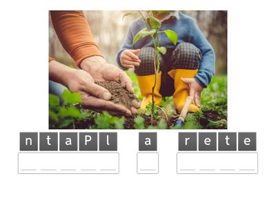 5º English Unit 3 Vocabulary