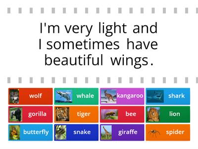 Solutions Elem 6A Wild animals descriptions